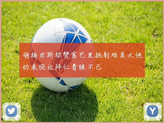 胡梅尔斯称赞塞巴里挑射难度大他的表现让拜仁青睐不已